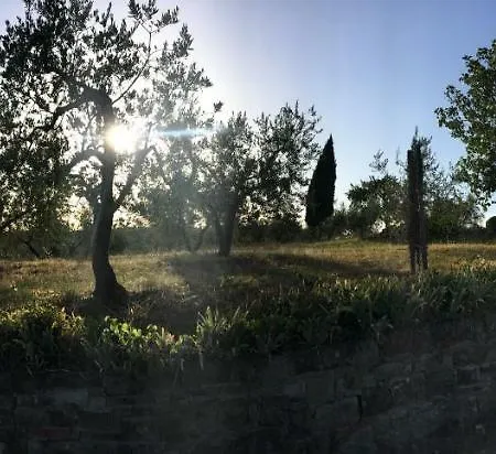 Casa Ana Apartment Greve in Chianti Exterior photo