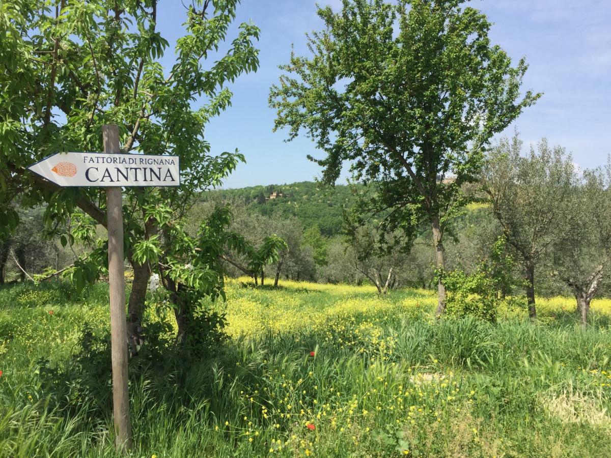 Casa Ana Apartment Greve in Chianti